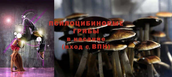 гашишное масло Богородицк