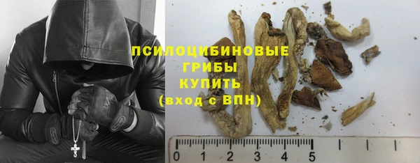 амфетамин Богданович