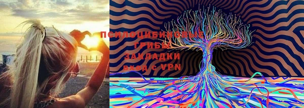 гашишное масло Богородицк