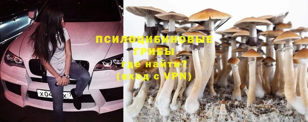 амфетамин Богданович