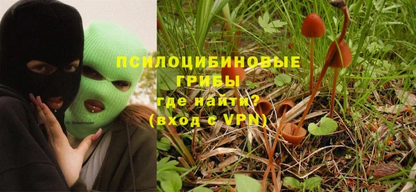 прущие грибы Богородск